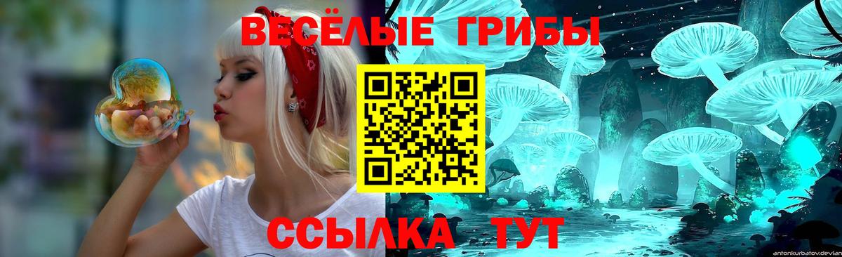 Галлюциногенные грибы Cubensis  наркота  Реж  Вход с VPN  Галлюциногенные грибы ЛСД 